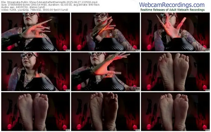 2025/08/27/streamate-amanitapantherina69-13-35-30