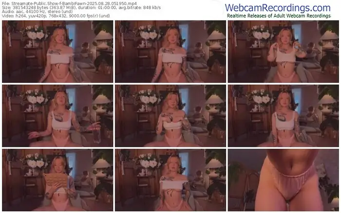 2025/08/28/streamate-bambifawn-05-19-50