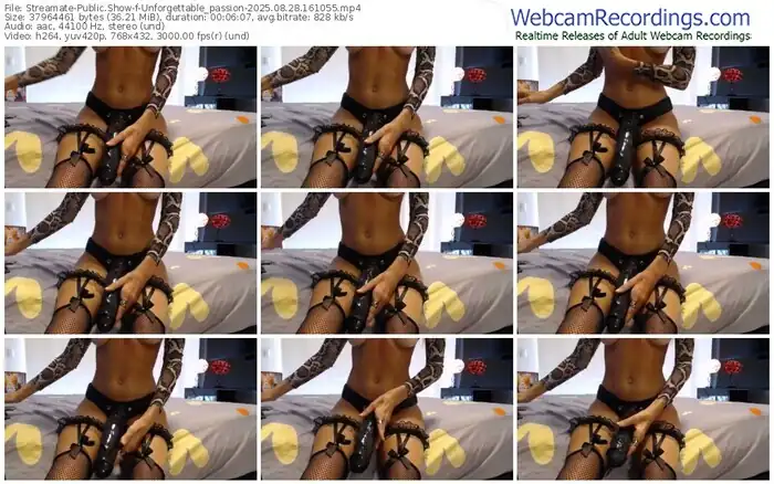 2025/08/28/streamate-unforgettable_passion-16-10-55