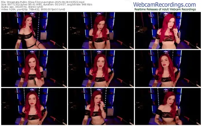 2025/08/28/streamate-lizzylexington-03-35-22