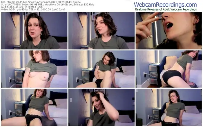 2025/08/29/streamate-artiepaints-01-43-19