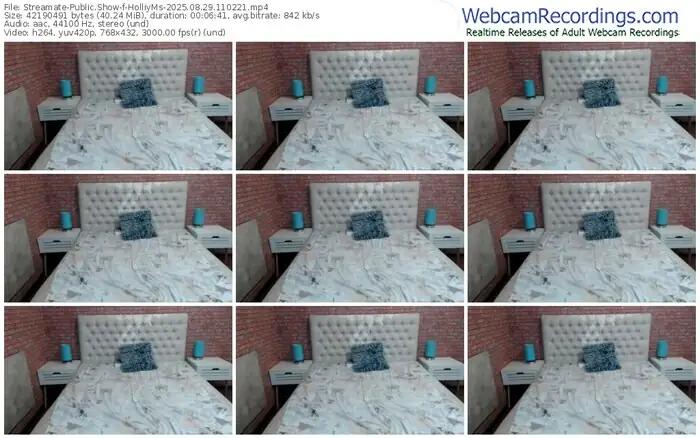 2025/08/29/streamate-holliyms-11-02-21