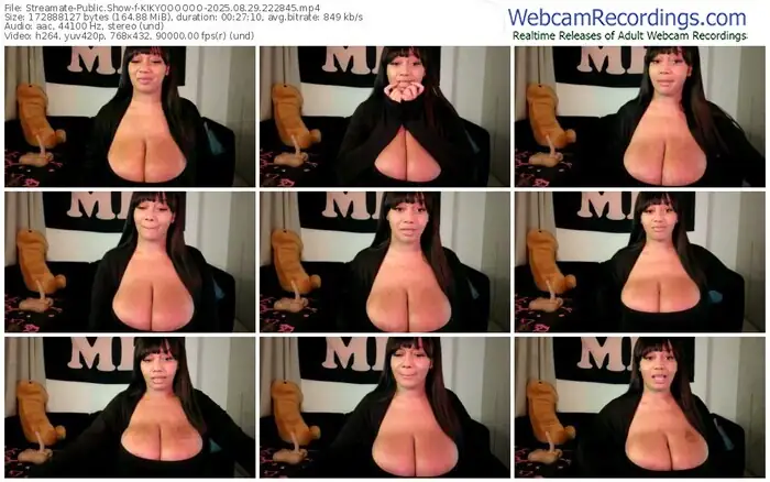 2025/08/29/streamate-kikyoooooo-22-28-45
