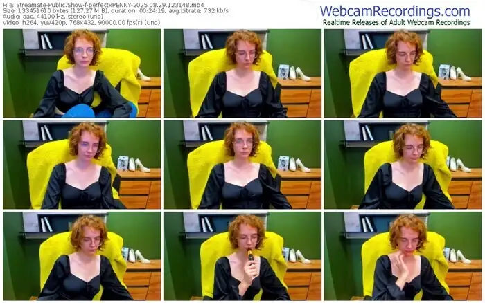 2025/08/29/streamate-perfectxpenny-12-31-48