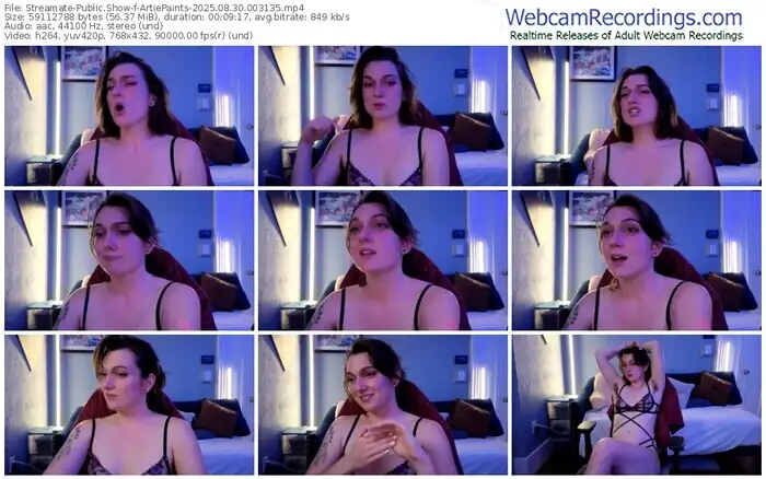 2025/08/30/streamate-artiepaints-00-31-35