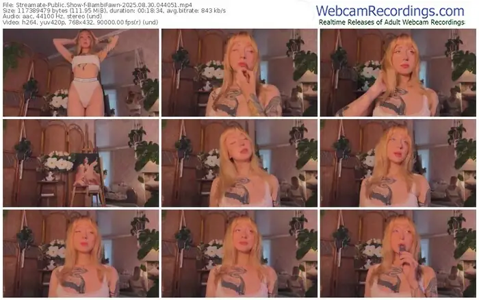 2025/08/30/streamate-bambifawn-04-40-51