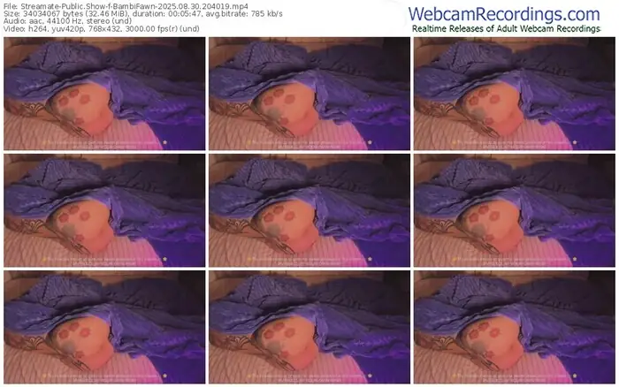 2025/08/30/streamate-bambifawn-20-40-19