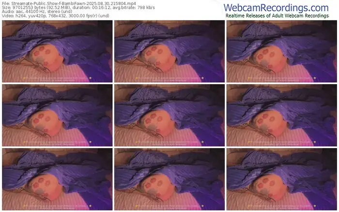 2025/08/30/streamate-bambifawn-21-58-04