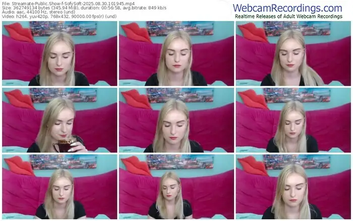2025/08/30/streamate-sofysoft-10-19-45