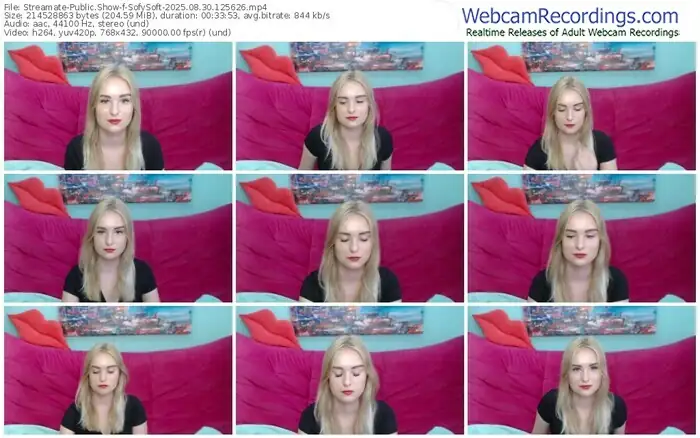 2025/08/30/streamate-sofysoft-12-56-26