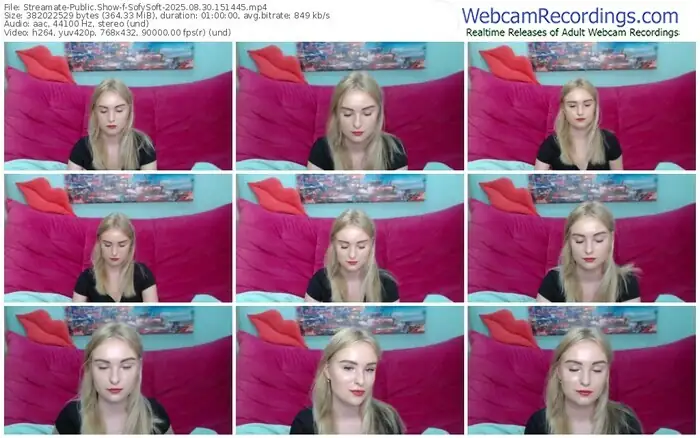 2025/08/30/streamate-sofysoft-15-14-45