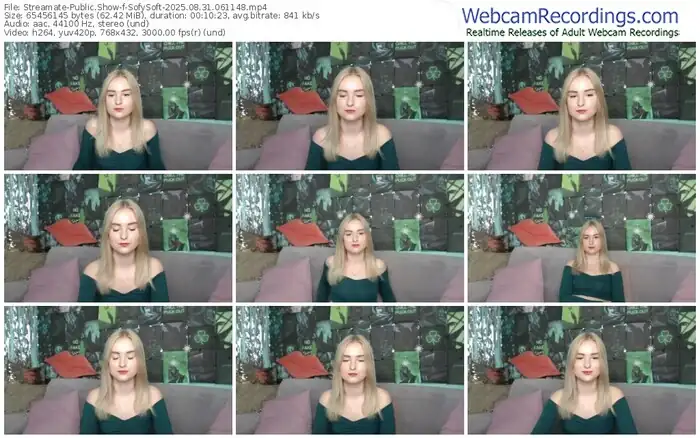 2025/08/31/streamate-sofysoft-06-11-48