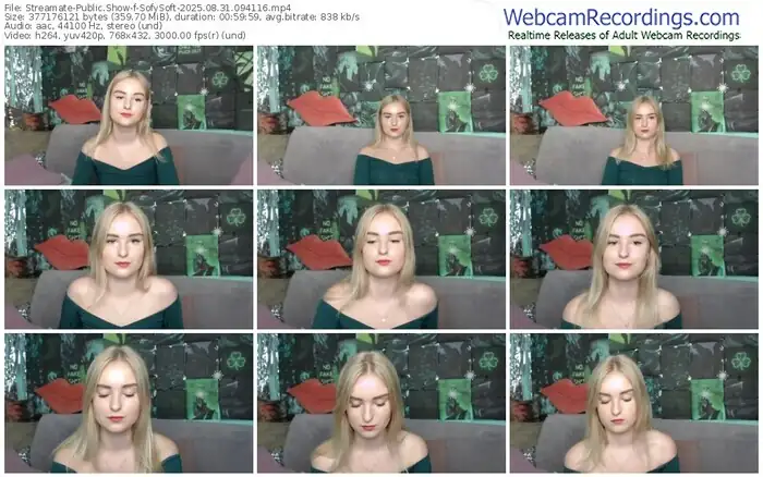 2025/08/31/streamate-sofysoft-09-41-16