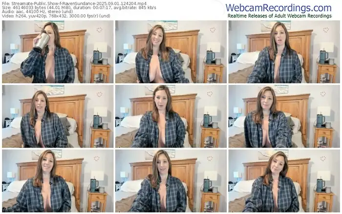 2025/09/01/streamate-ravensundance-12-42-04