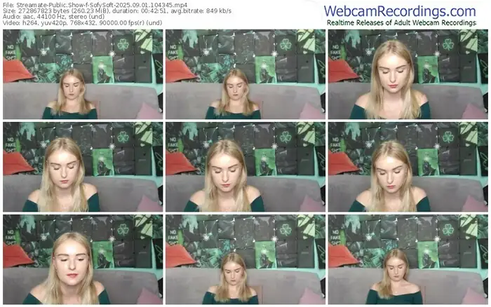 2025/09/01/streamate-sofysoft-10-43-45