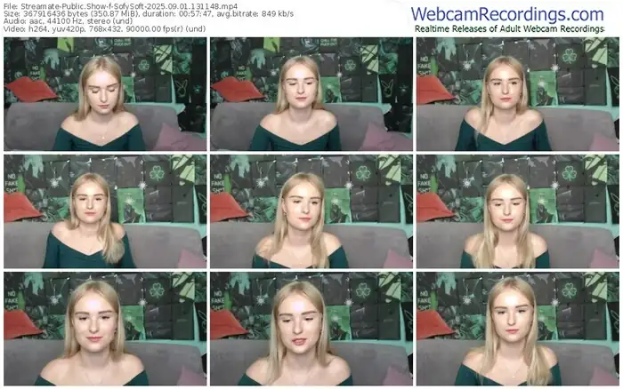 2025/09/01/streamate-sofysoft-13-11-48