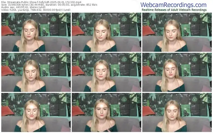 2025/09/01/streamate-sofysoft-15-13-32