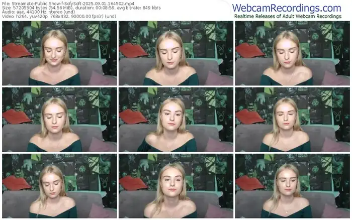 2025/09/01/streamate-sofysoft-16-45-02