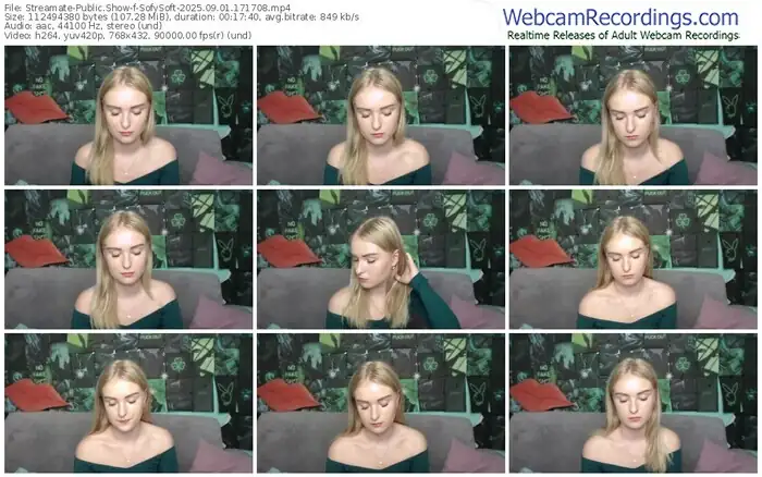 2025/09/01/streamate-sofysoft-17-17-08