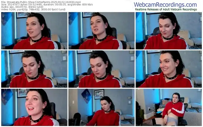 2025/09/02/streamate-artiepaints-19-26-30