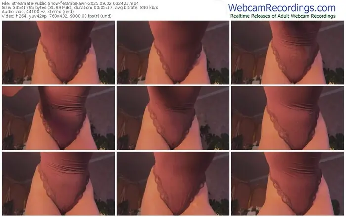 2025/09/02/streamate-bambifawn-03-24-21