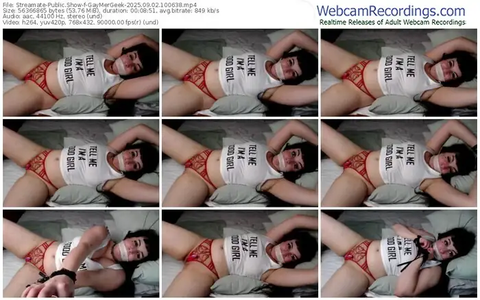 2025/09/02/streamate-gaymergeek-10-06-38