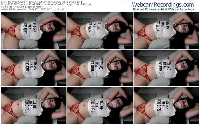 2025/09/02/streamate-gaymergeek-14-19-46