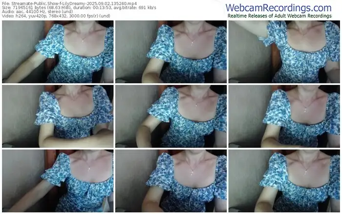 2025/09/02/streamate-lilydreamy-13-52-40