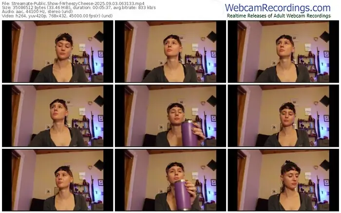 2025/09/03/streamate-wheezycheese-06-31-33