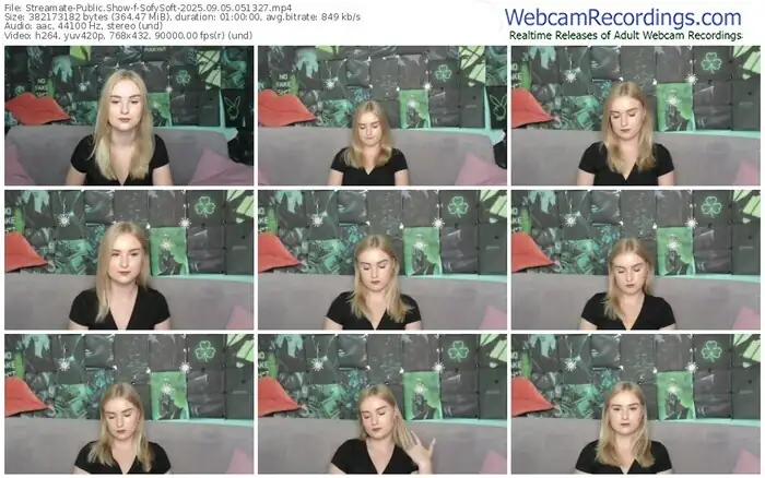 2025/09/05/streamate-sofysoft-05-13-27