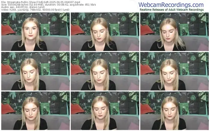2025/09/05/streamate-sofysoft-06-40-07