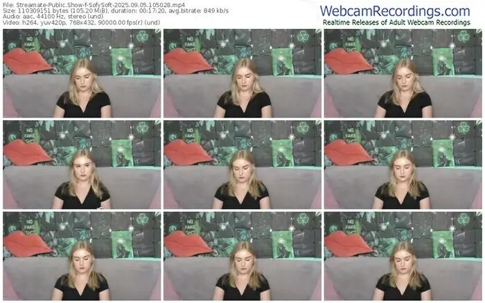 2025/09/05/streamate-sofysoft-10-50-28