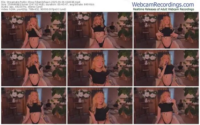 2025/09/06/streamate-bambifawn-04-46-38