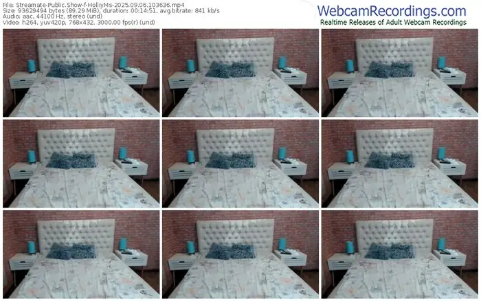 2025/09/06/streamate-holliyms-10-36-36