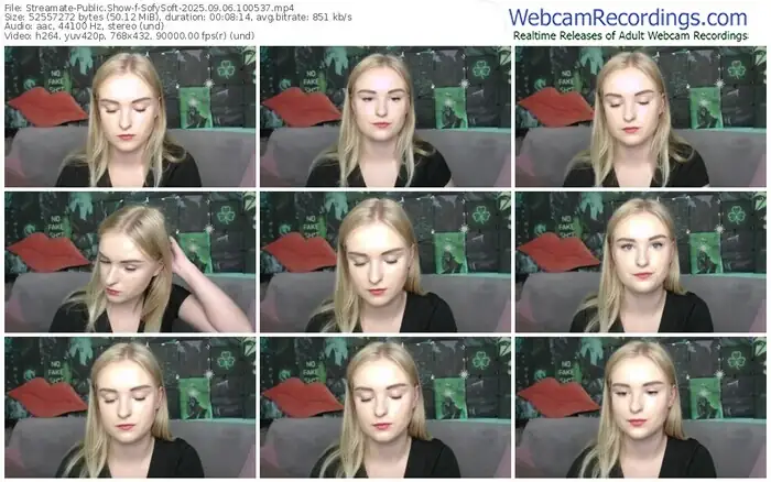 2025/09/06/streamate-sofysoft-10-05-37
