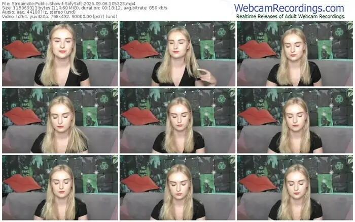 2025/09/06/streamate-sofysoft-10-53-23