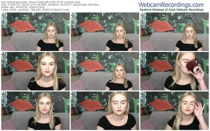 2025/09/07/streamate-sofysoft-10-33-22