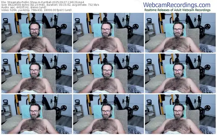 2025/09/07/streamate-furrball-13-41-29