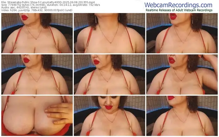 2025/09/08/streamate-curvykatty40dd-23-13-55