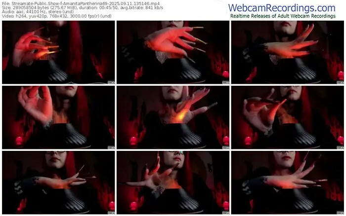 2025/09/11/streamate-amanitapantherina69-13-51-46