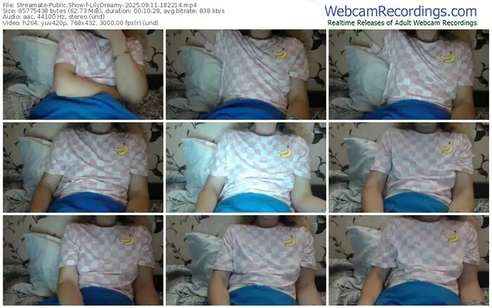 2025/09/11/streamate-lilydreamy-18-22-14