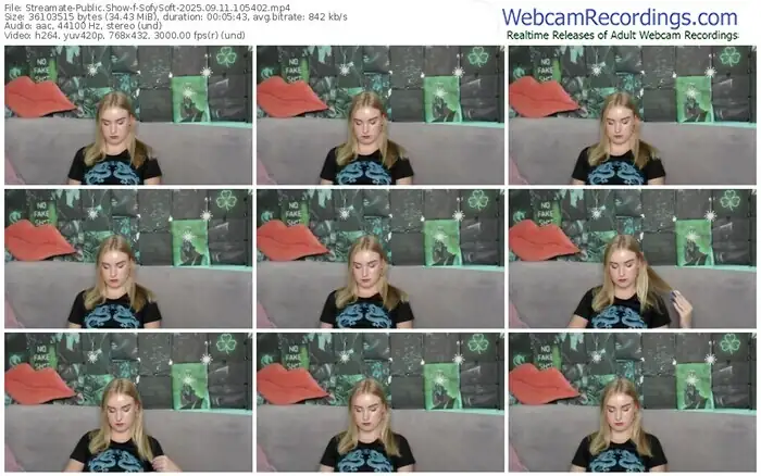 2025/09/11/streamate-sofysoft-10-54-02