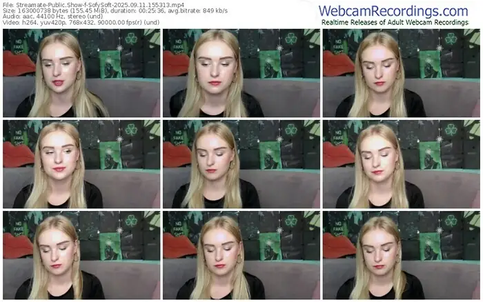 2025/09/11/streamate-sofysoft-15-53-13