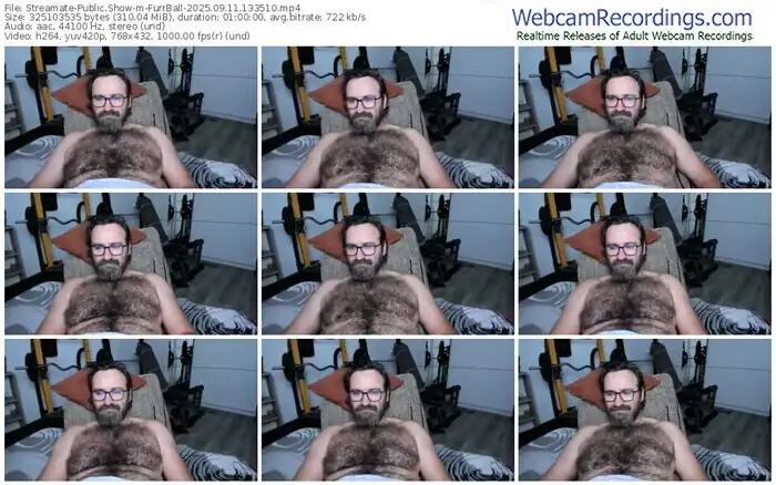2025/09/11/streamate-furrball-13-35-10