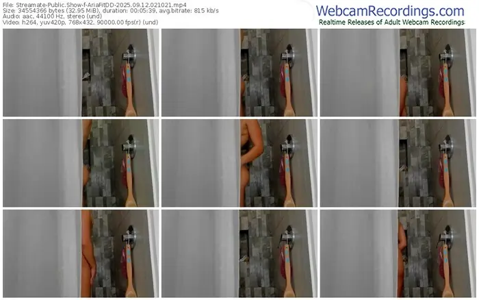 2025/09/12/streamate-ariafitdd-02-10-21