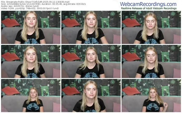 2025/09/12/streamate-sofysoft-13-08-39