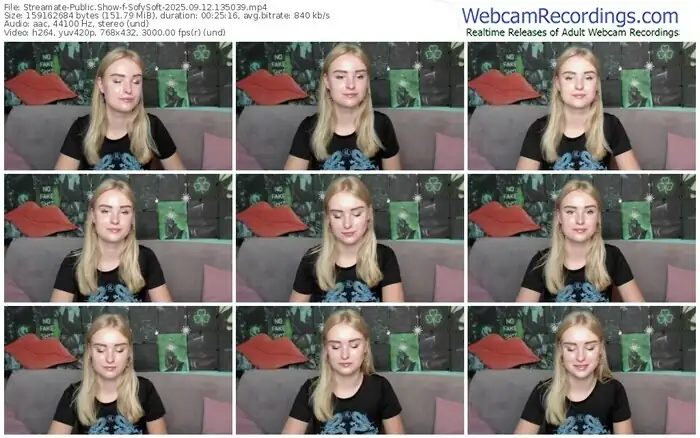 2025/09/12/streamate-sofysoft-13-50-39