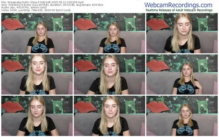 2025/09/12/streamate-sofysoft-16-22-04