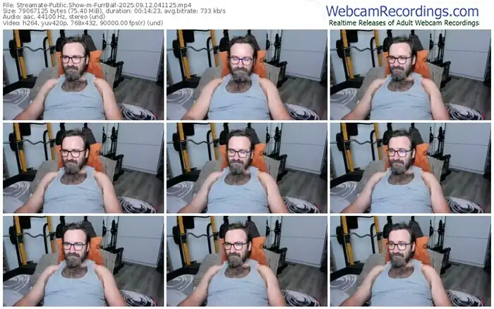 2025/09/12/streamate-furrball-04-11-25