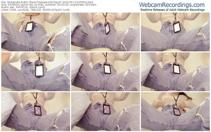 2025/09/13/streamate-noname301squirt-00-55-02